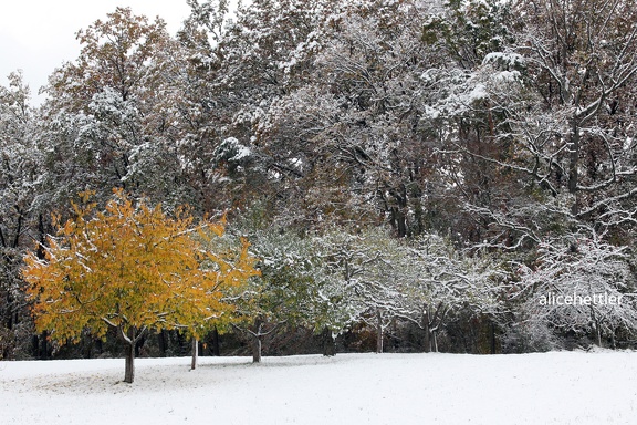 Winter im Herbst 